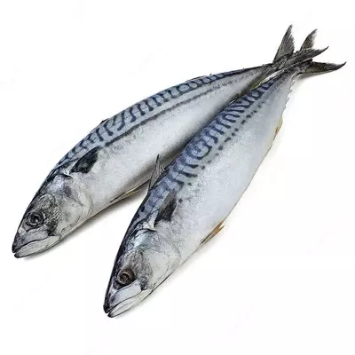 Muzlatilgan skumbriya +600 g