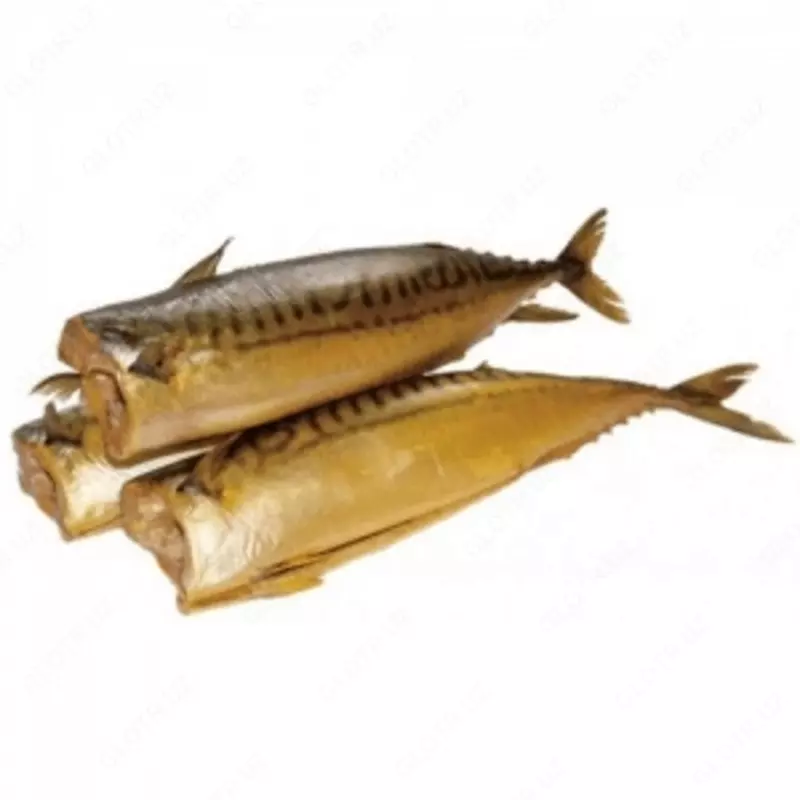 Dudlangan makkel(скумбрия)