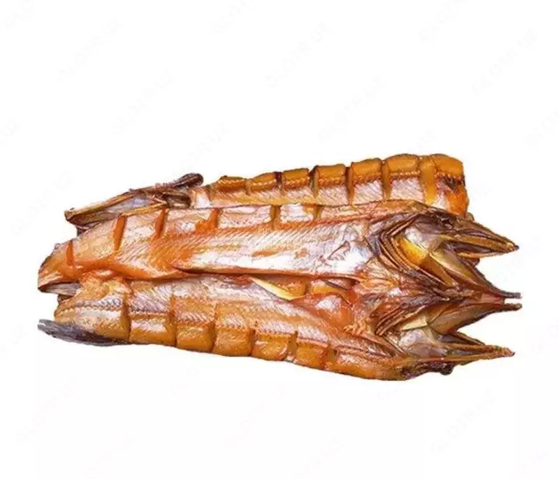 Dudlangan ilon baliq