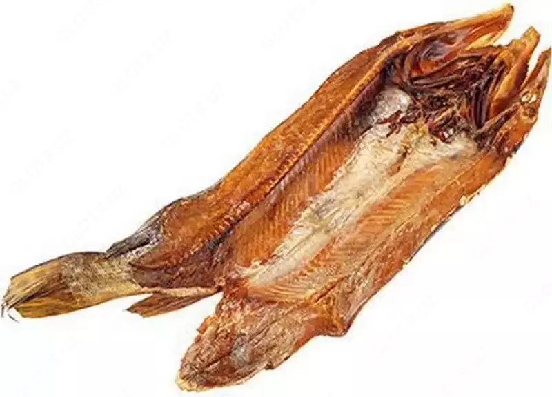  Dudlangan ilon baliq - 