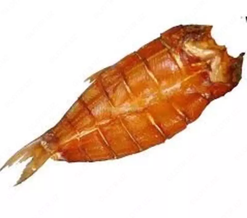 Толстолбик копчёный