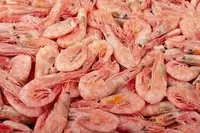 50/70 og'irlikdagi qisqichbaqalar