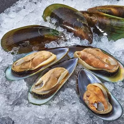 Мидии в ракушках