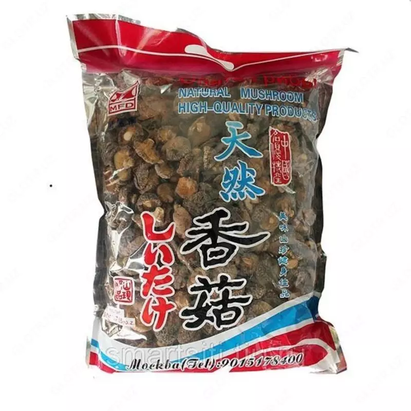 Yapon shiitake yovvoyi qo'ziqorinlari