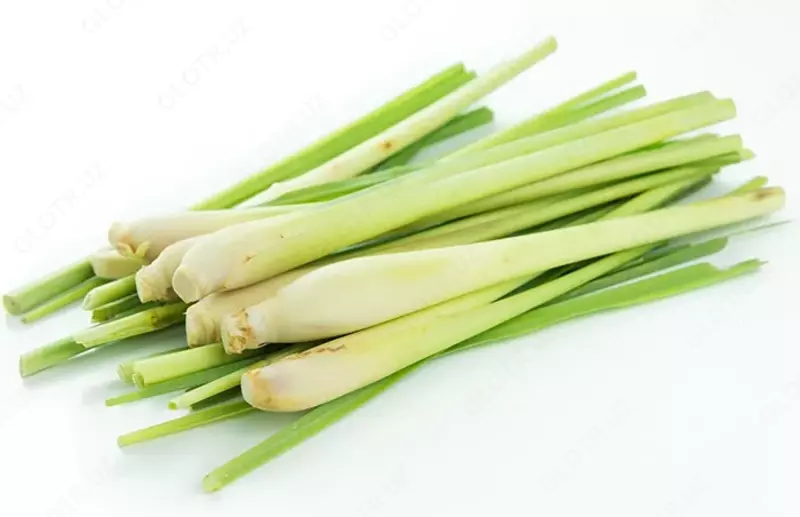 Лемонаграсс