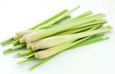 Лемонаграсс