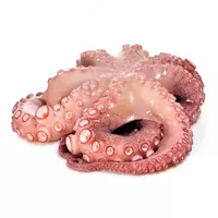  Осьминог замороженный - 