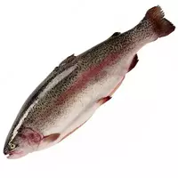 Sovutilgan forel Fish House