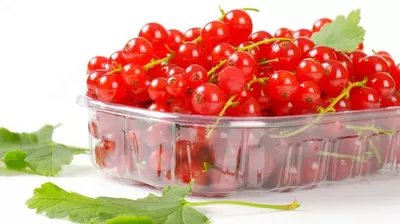 Красная смородина