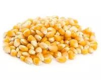 muzlatilgan makkajo'xori