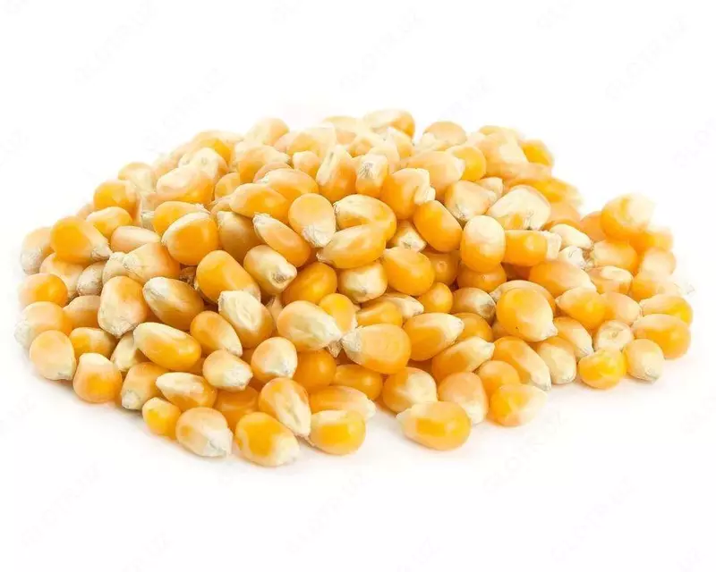 muzlatilgan makkajo'xori