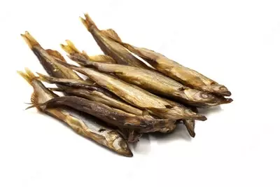 Dudlangan Koryushka baliq