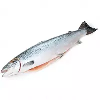 Qizil ikra yangi muzlatilgan tana go'shti (gutted) - 300 000 so'm