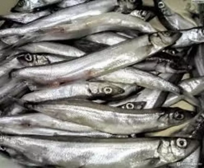 Мойва свежемороженая