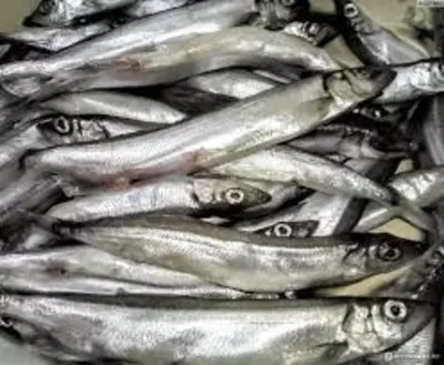 Мойва свежемороженая