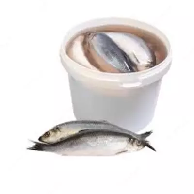 Селёдка среднесоленая