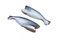 Pangasius tana go'shti yangi muzlatilgan - 40 000 so'm