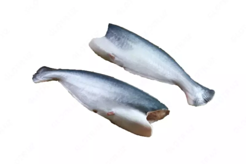 Pangasius tana go'shti yangi muzlatilgan