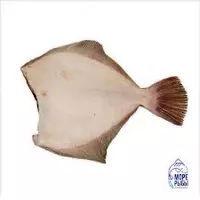 Камбала - 60 000 сум