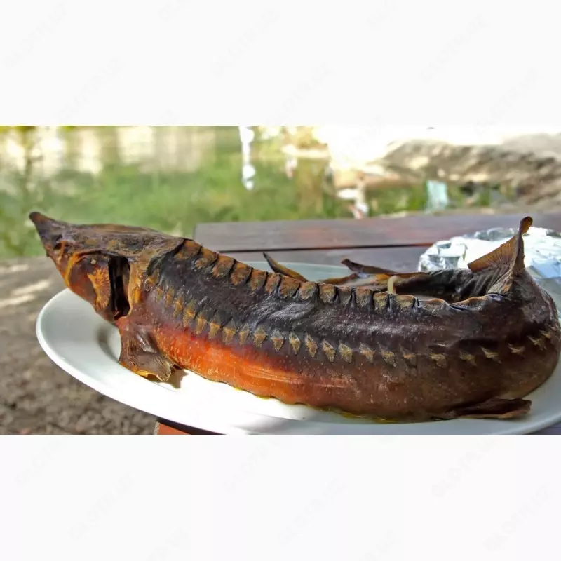 Осётр копчённый