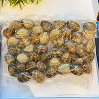 Вонголе морской замороженный