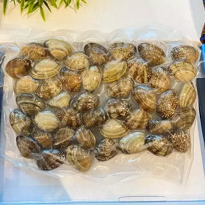 Dengiz vongole, muzlatilgan