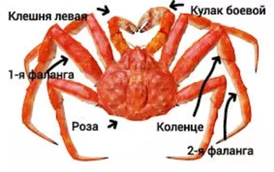 Крабовые фаланги - 2 200 000 сум / шт