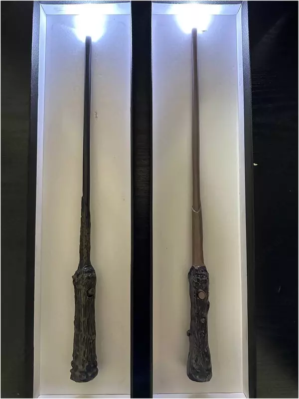 Garri Potter sehrli tayoqchasi