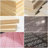 18 mm 1220x2440 - {0} so'mdan