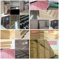 namlikka chidamli fanera