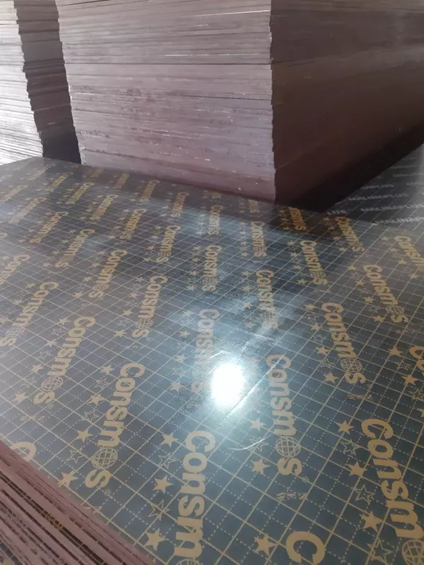 Finn laminatsiyalangan fanera