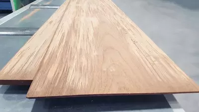 WEINIG FlexiRip JrionLine - Делительная пила - Цена по запросу