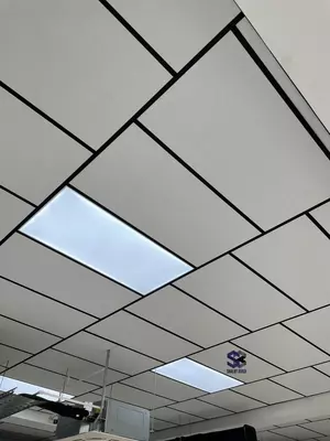 Rockfon Lilia 600 * 600 * 12 ship panella