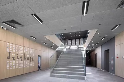 Акустические стеновые и потолочные плиты из древесного волокна KNAUF HERADESIGN - OOO SHALBY BUILD