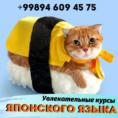 Увлекательные курсы Японского языка