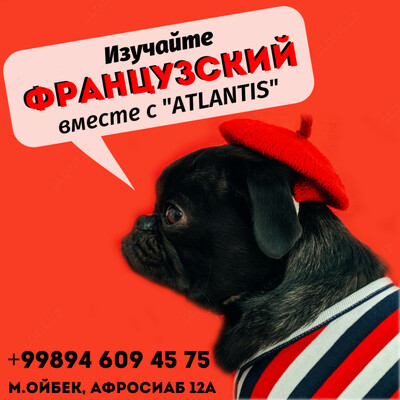 Французский — хит сезона