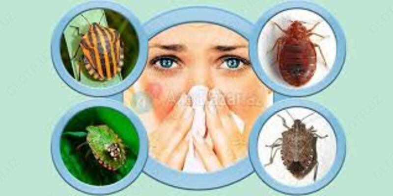 Дезинфекция жилых и не жилых помещений Только в розницу