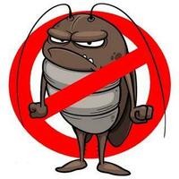 Дезинсекция - от 4 000 сум