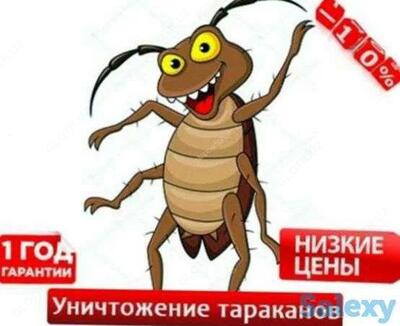 Обработка любого вида  помещений