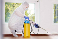 Обработка помещений от паразитов