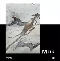 Глянцевая декоративная панель из ПВХ1.22*2.80 M71-B