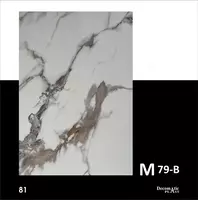 Глянцевая декоративная панель из ПВХ 1.22*2.44   M79-B