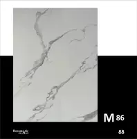  Глянцевая декоративная панель из ПВХ 1.22*2.44  M86 - 