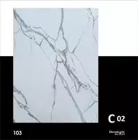 Матовая декоративная панель из ПВХ 1.22*2.80 C02