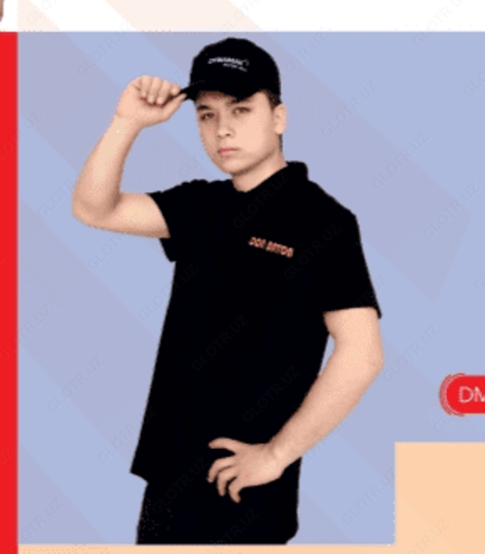 Футболка мужская №1