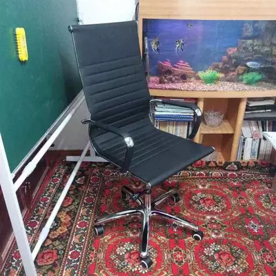 Ofis kreslosi modeli № 13