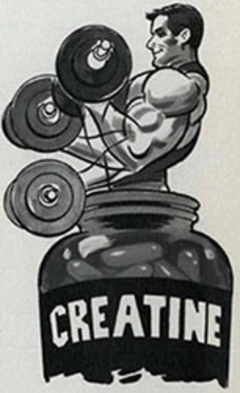 Креатин - основа спортивного питания для бодибилдеров