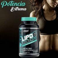 LIPO-6 QAROR HAM ULTRA KONSENTRATI Ulgurji va chakana