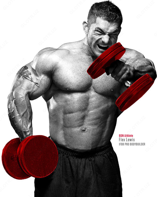   BSN  N.O.-Xplode  Afsonaviy Mashgulotdan oldingi Kompleks  Uzum  555 g (1 22 funt)