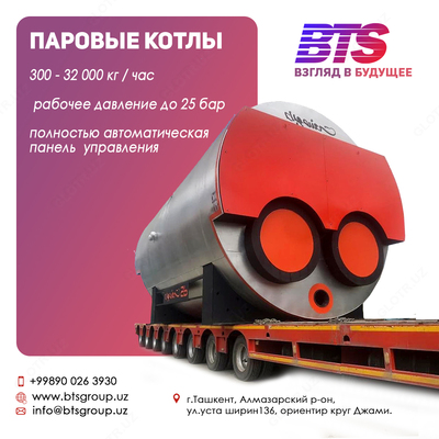 Паровой котел (BTS)